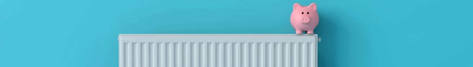 radiator with pink pig sitting to top to one side