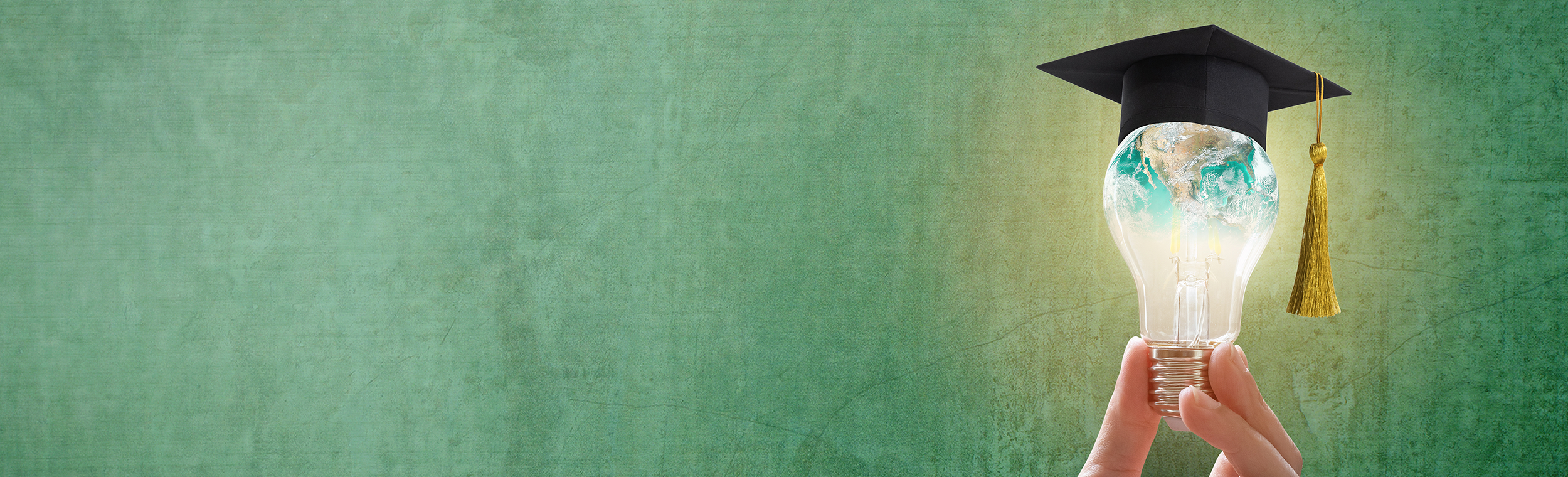 Graduate Lightbulb 3