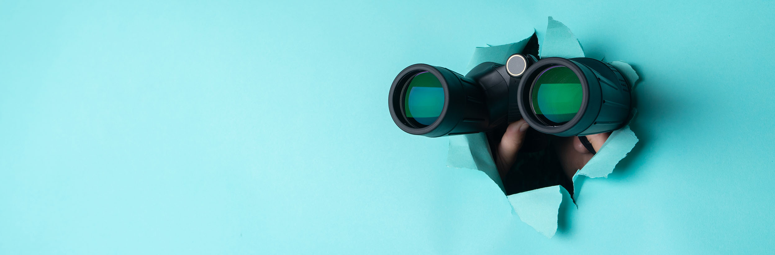 Blue Wall Binoculars Web