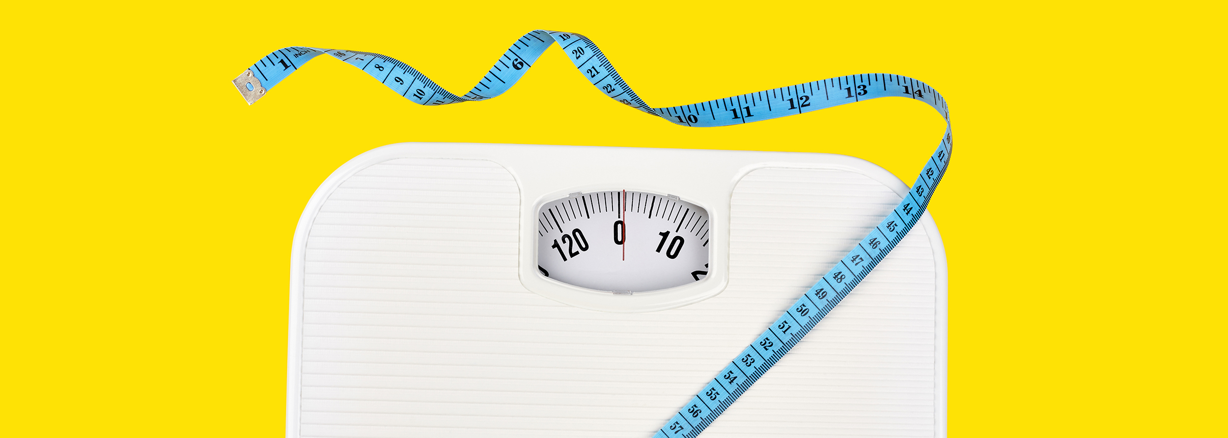 Scales And Tape Measure Web